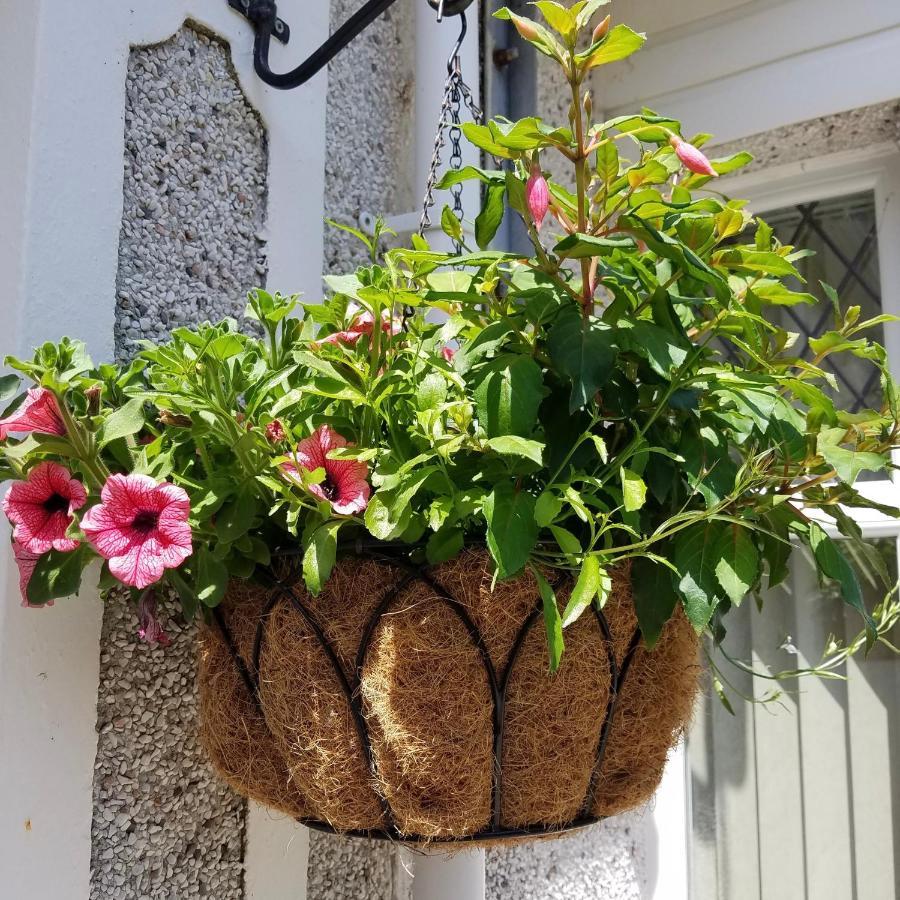 Eden'S Rest Bed And Breakfast Bugle Zewnętrze zdjęcie