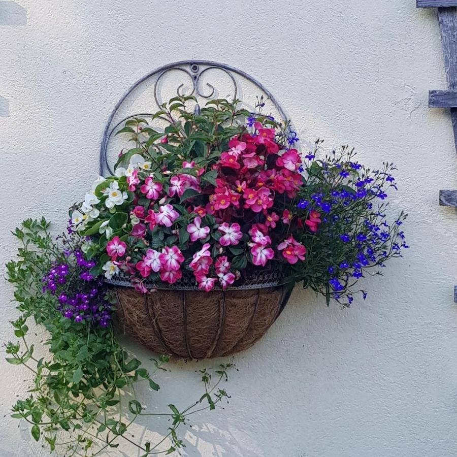 Eden'S Rest Bed And Breakfast Bugle Zewnętrze zdjęcie